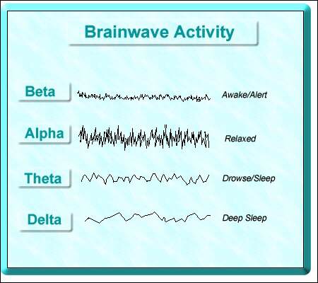 Beta Alpha Delta Gamma Brainwaves